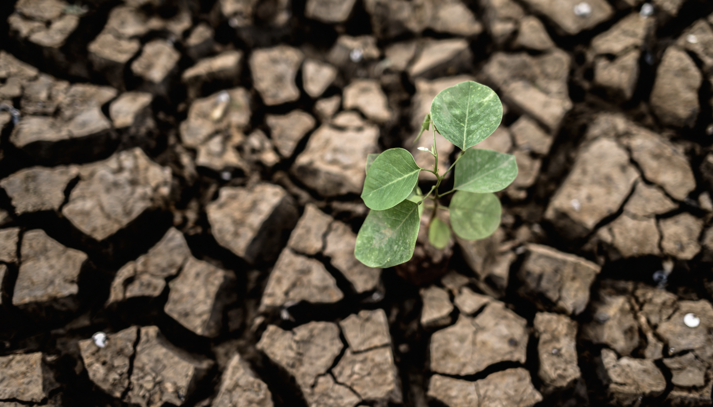 Véhicules et bornes électriques :les actions d’Onet en faveur d’un monde décarboné.