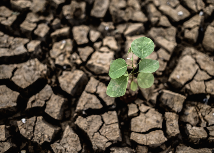 Véhicules et bornes électriques :les actions d’Onet en faveur d’un monde décarboné.