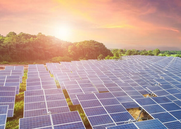 Explore corporate PPAs around the world.