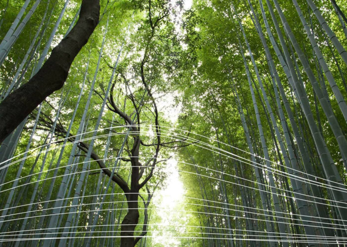 The clean energy provisions of the Inflation Reduction Act of 2022 – a historic effort to encourage the development of clean energy and reduce carbon emissions